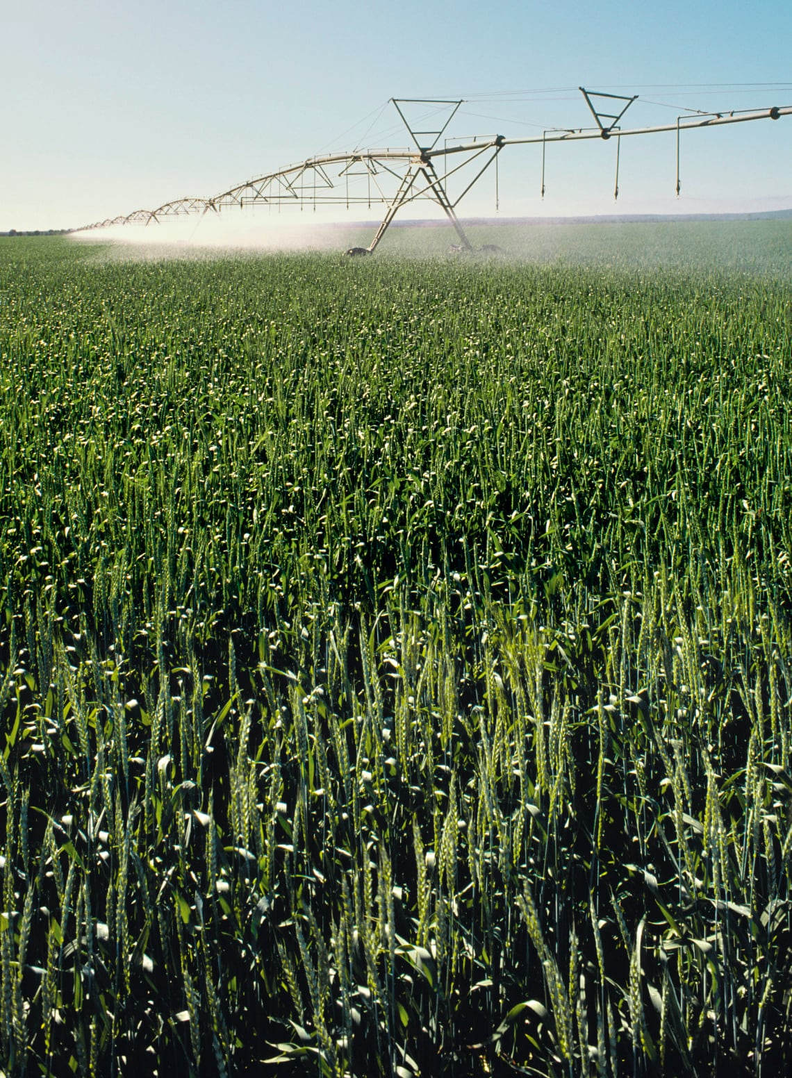 Irrigation