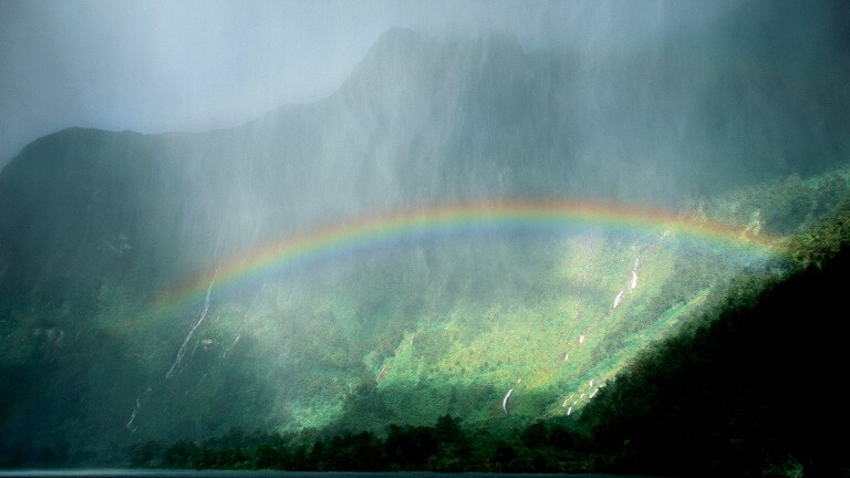 Rainbow over forest
