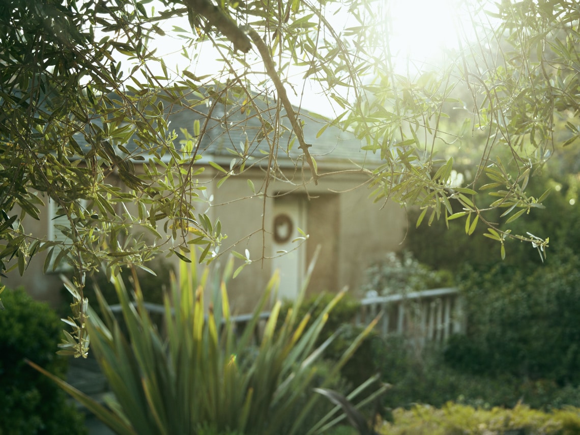 Blurred cottage with nature elements in foreground